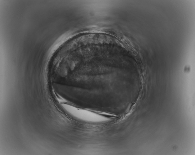 X0000090870295200708171630