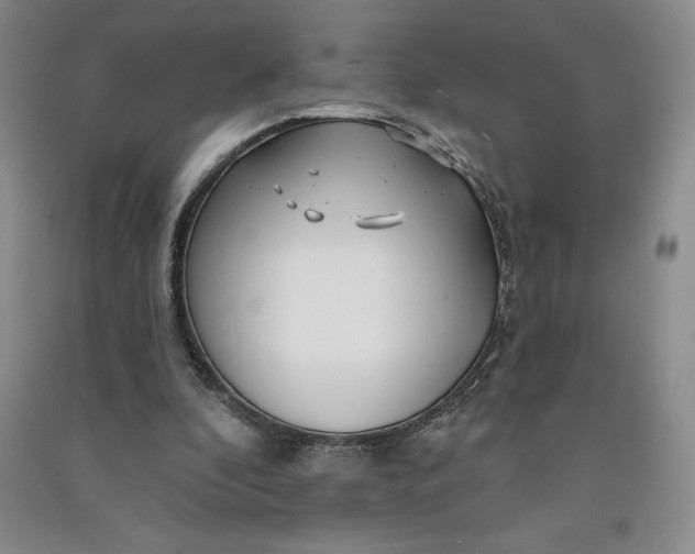 X0000090870296200708171630