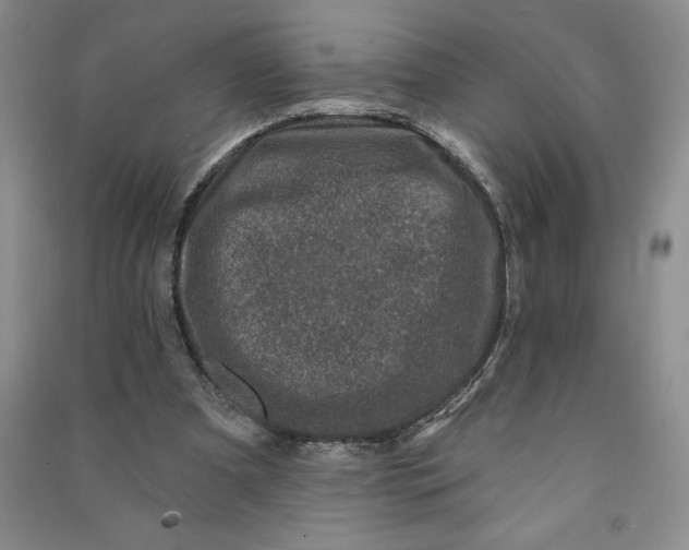 X0000090870297200708171630