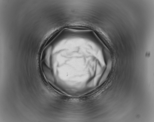 X0000090870298200708171630