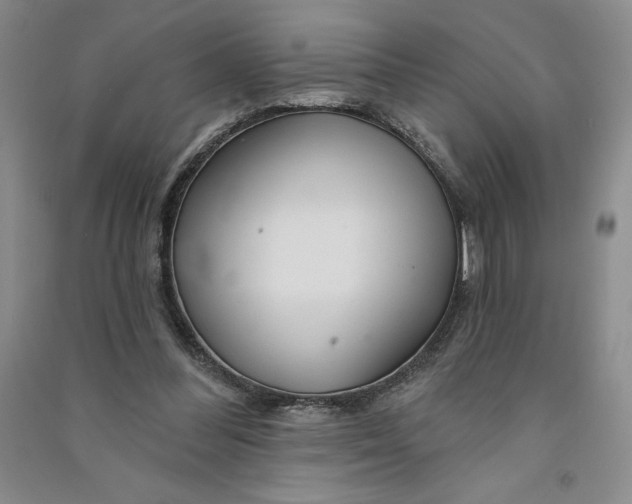 X0000090870300200708171630