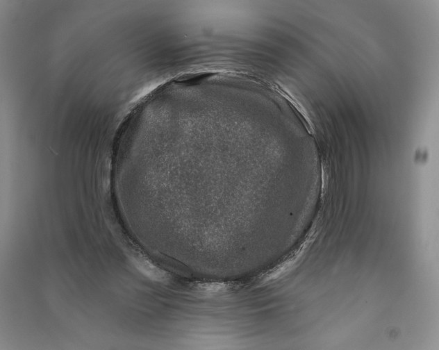 X0000090870301200708171630