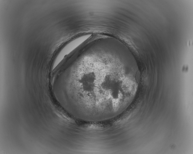 X0000090870303200708171630