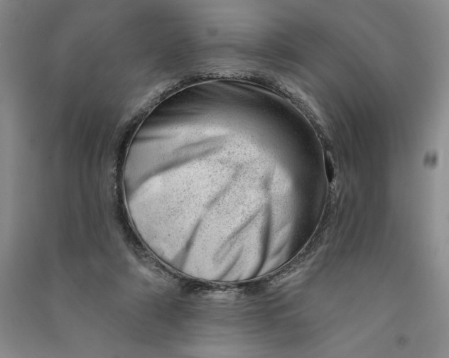 X0000090870306200708171630