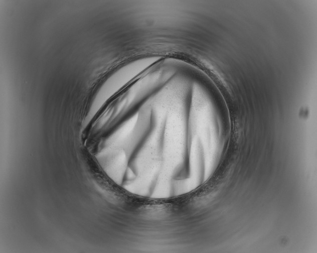 X0000090870307200708171630