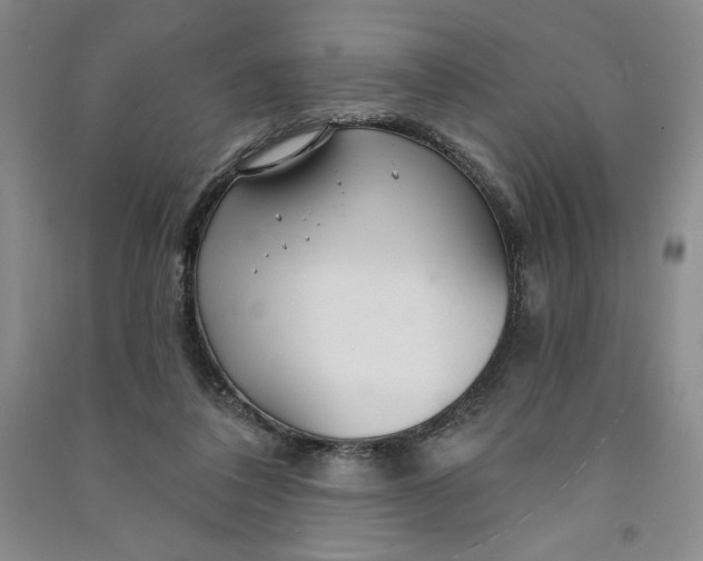 X0000090870308200708171630