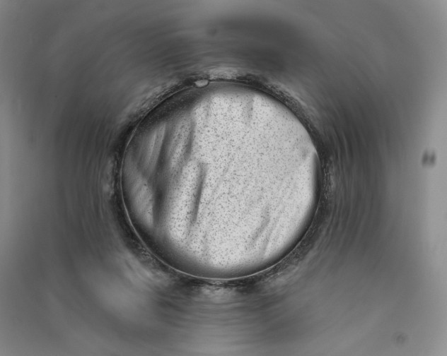 X0000090870311200708171630