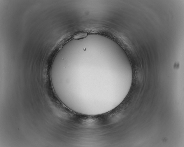 X0000090870312200708171630