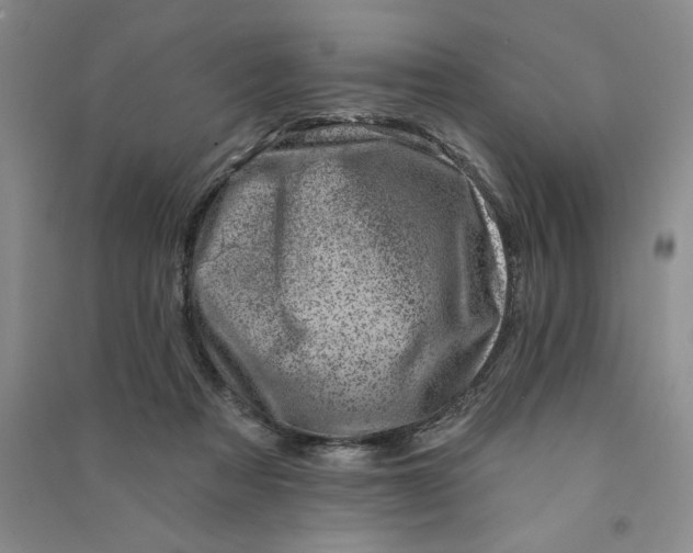 X0000090870313200708171630