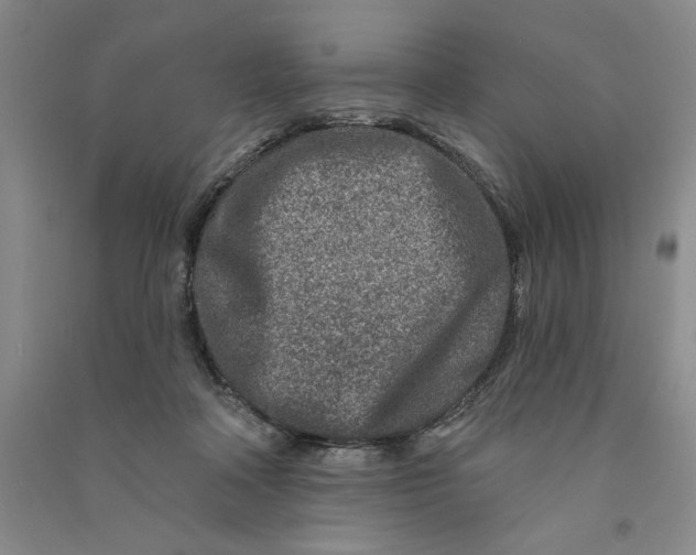 X0000090870314200708171630