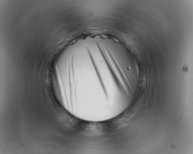 X0000090870317200708171630