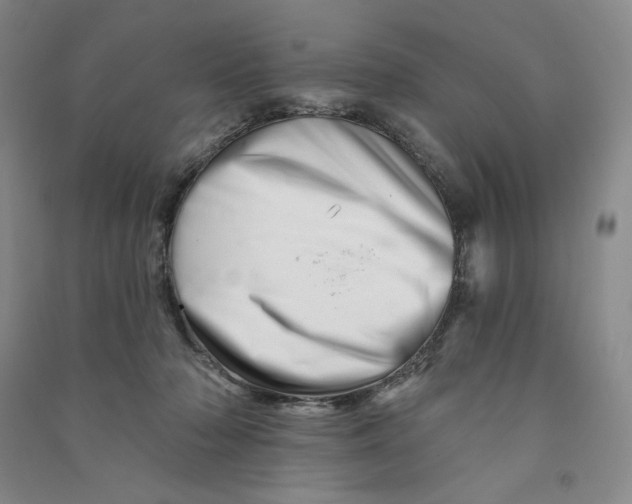 X0000090870318200708171630