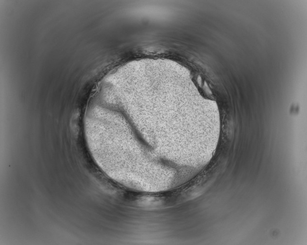 X0000090870319200708171630