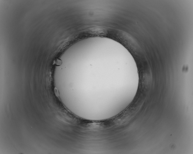 X0000090870320200708171630