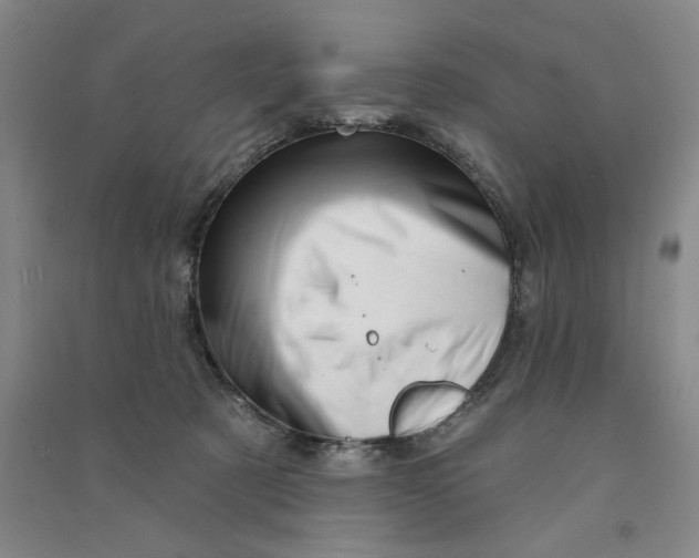 X0000090870321200708171630