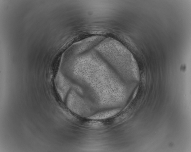 X0000090870322200708171630