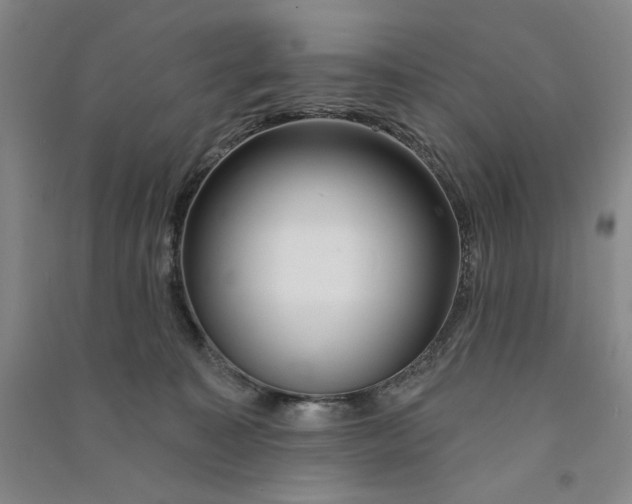 X0000090870323200708171630