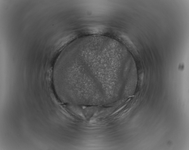 X0000090870325200708171630