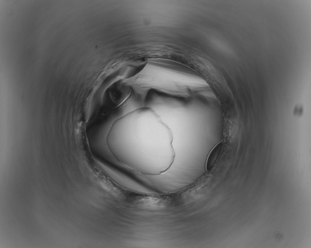 X0000090870326200708171630