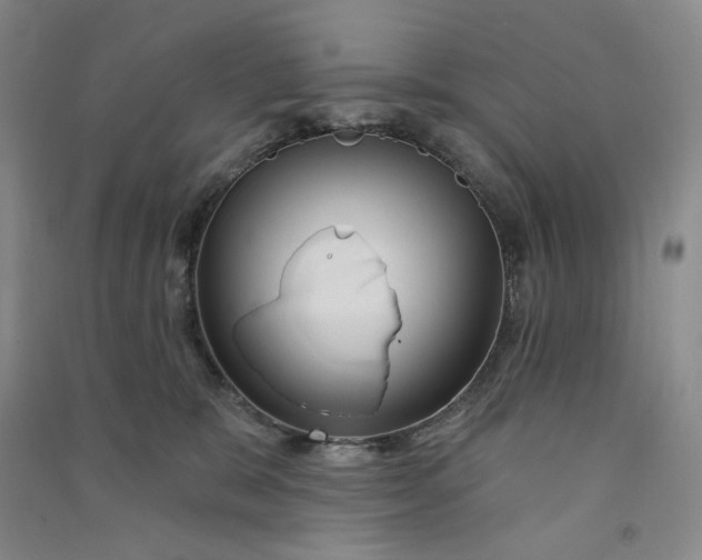 X0000090870327200708171630