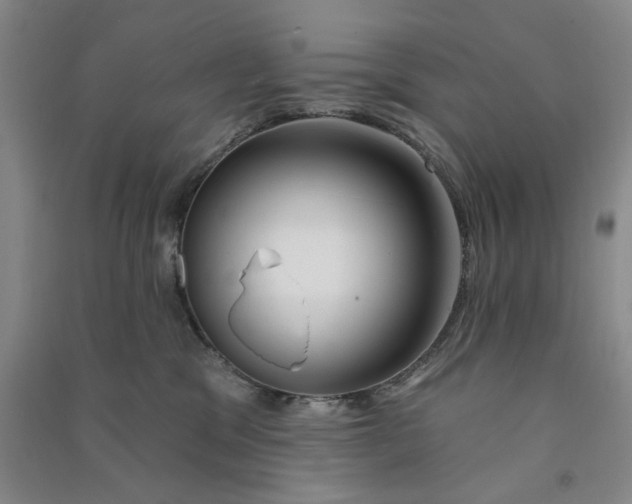 X0000090870329200708171630