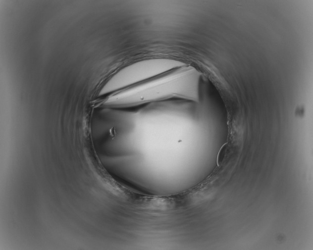 X0000090870330200708171630