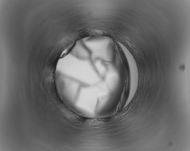 X0000090870331200708171630