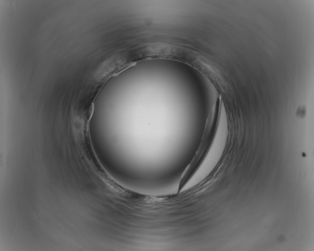 X0000090870333200708171630