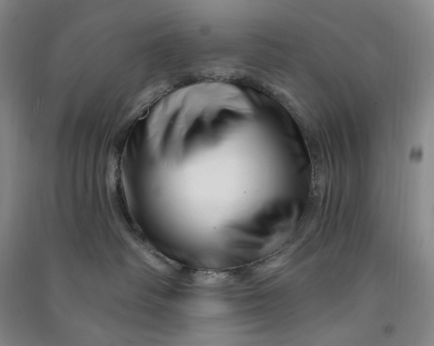 X0000090870334200708171630