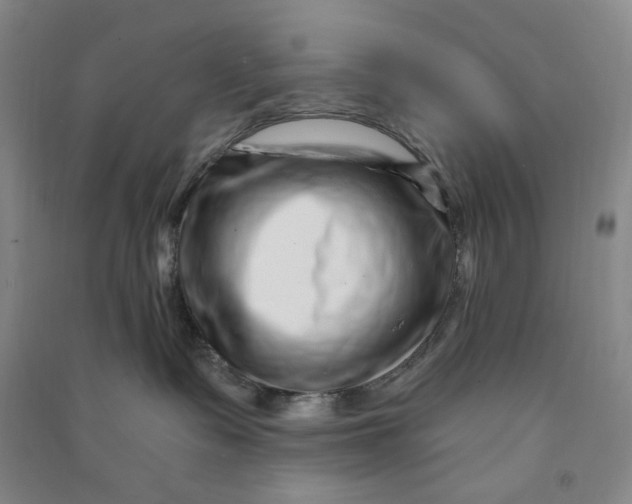 X0000090870335200708171630