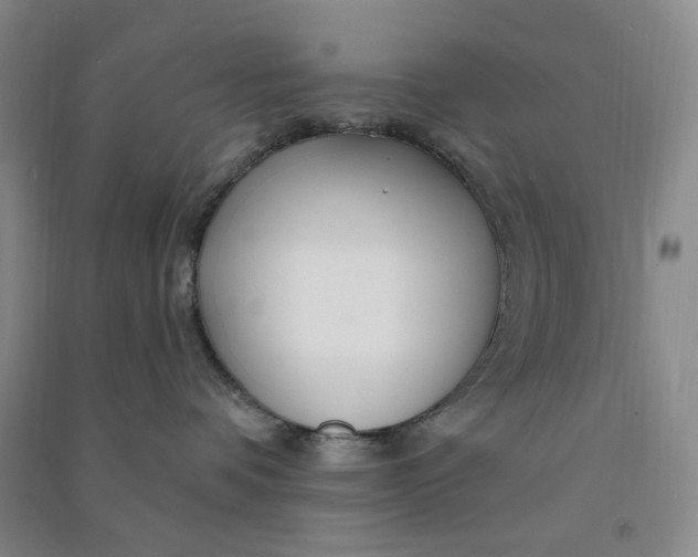 X0000090870336200708171630