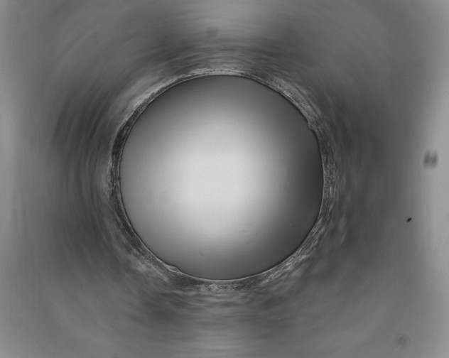 X0000090870338200708171629