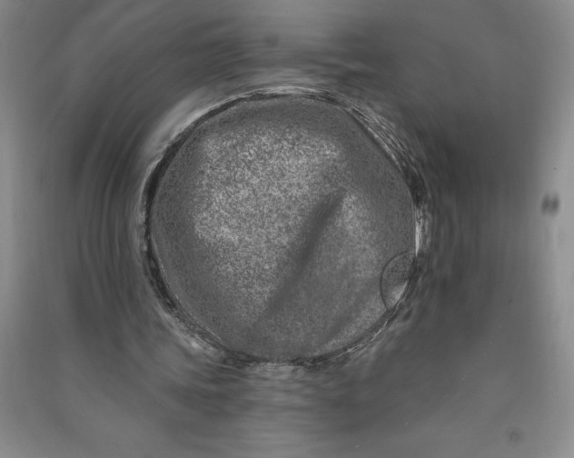 X0000090870339200708171629