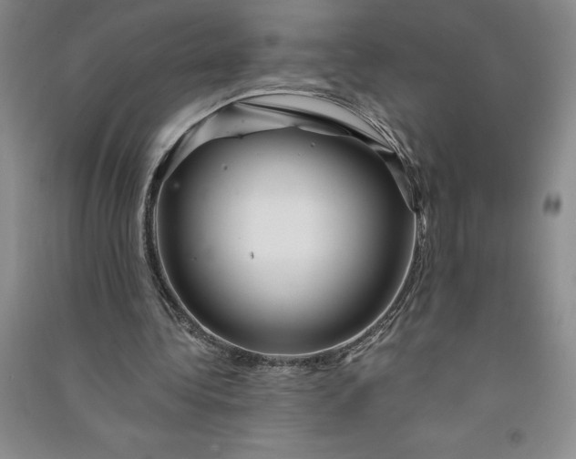 X0000090870340200708171629