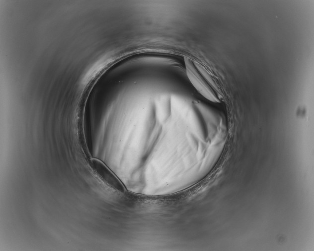 X0000090870341200708171629