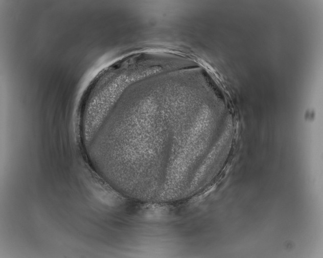 X0000090870343200708171629