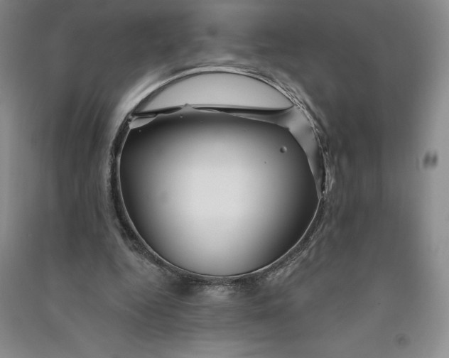 X0000090870344200708171629