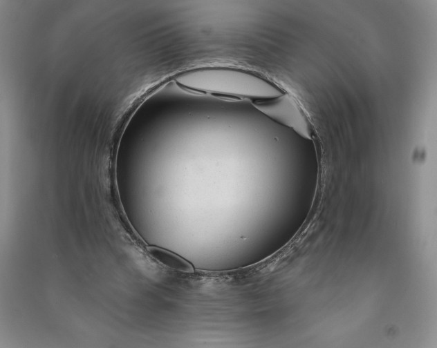 X0000090870345200708171629