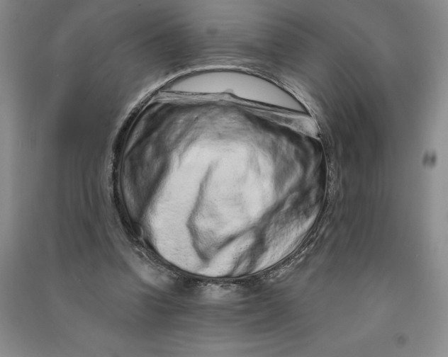 X0000090870346200708171629