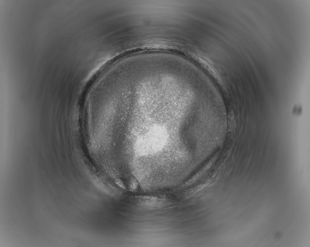 X0000090870347200708171629