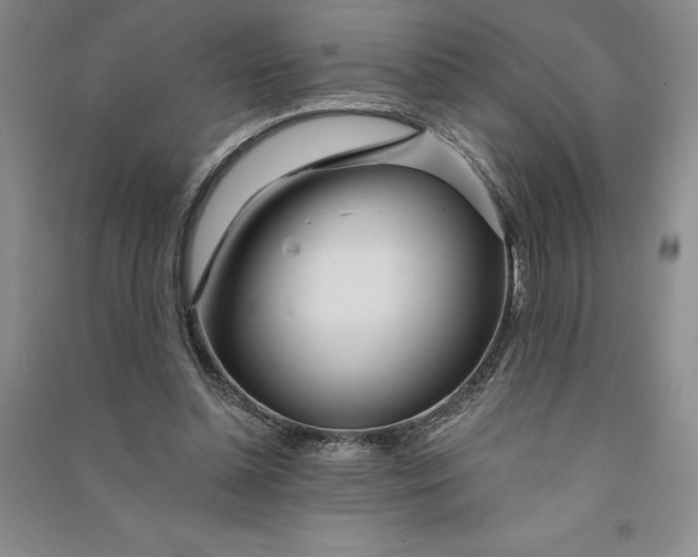 X0000090870348200708171629