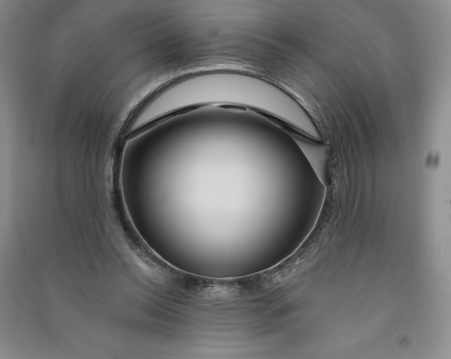 X0000090870350200708171630