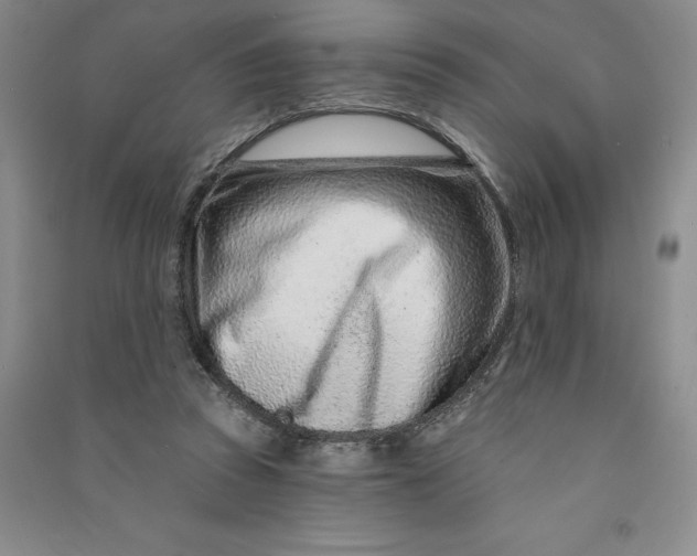 X0000090870353200708171630