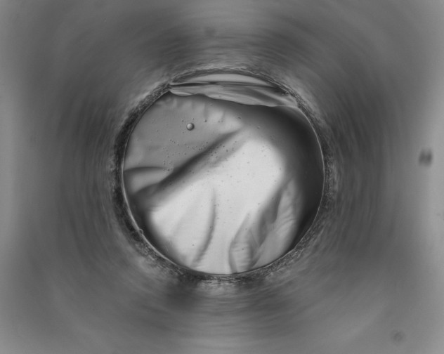 X0000090870354200708171630