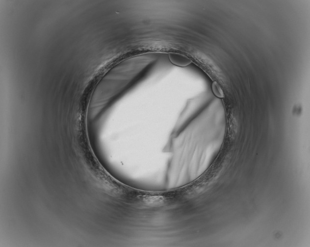 X0000090870355200708171630