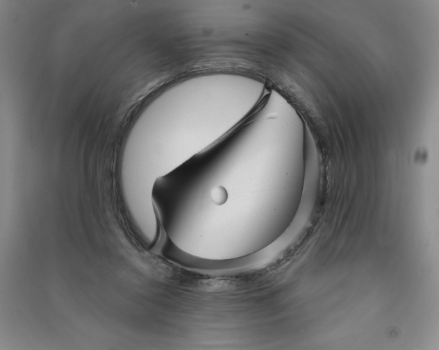 X0000090870356200708171630