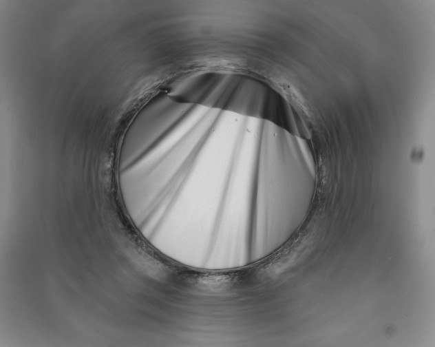 X0000090870357200708171630