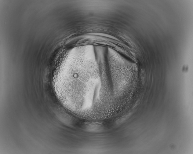 X0000090870359200708171630