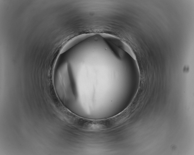 X0000090870360200708171630