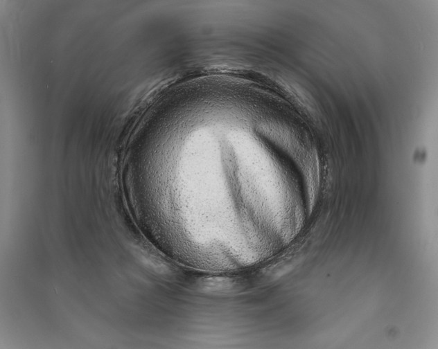 X0000090870361200708171630